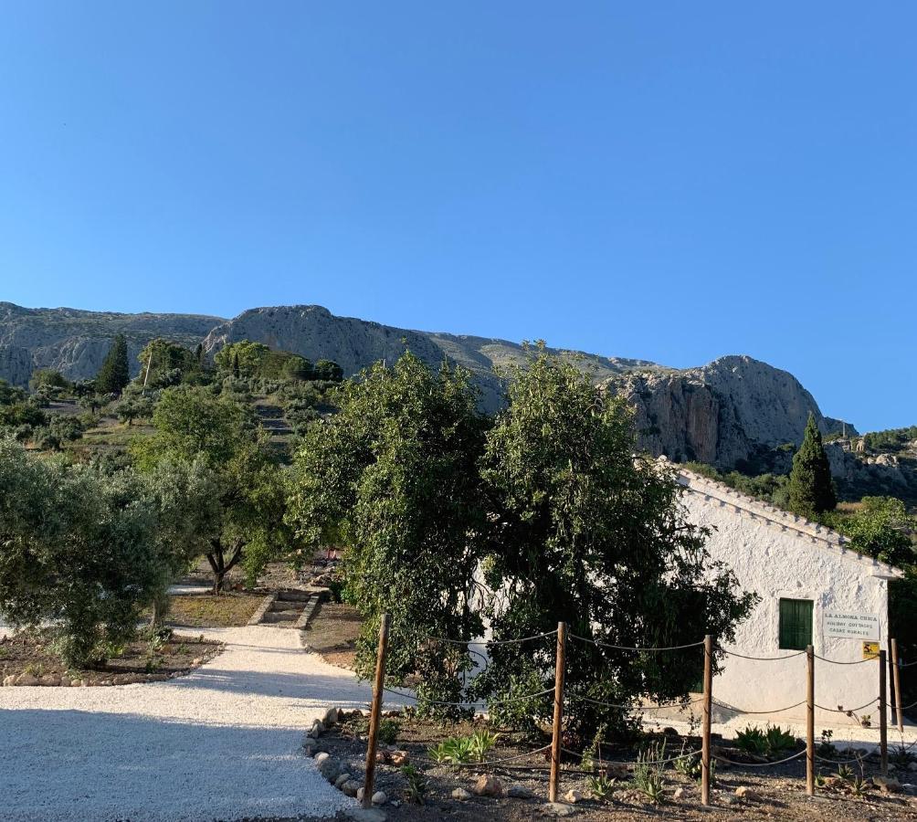Casa Anita - La Almona Chica Guest House El Chorro Ngoại thất bức ảnh